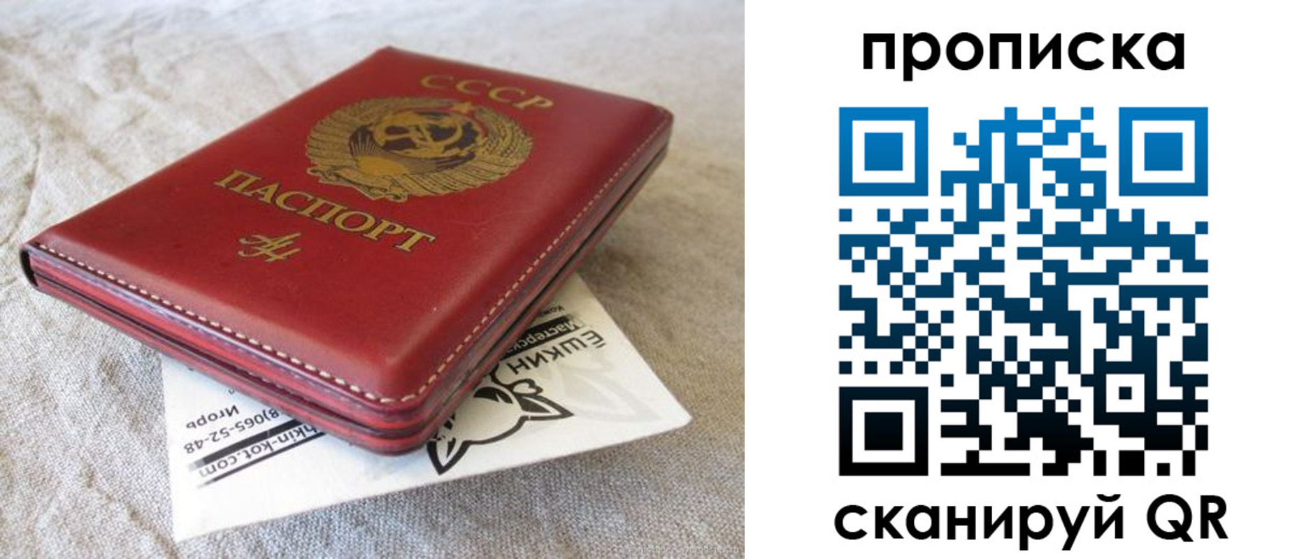 прописка для школы в Льгове